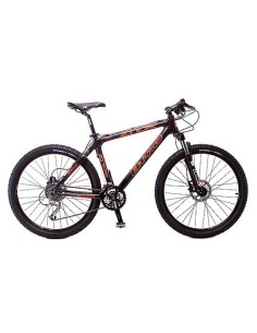 Bicicleta ZS 10FC