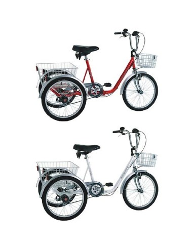 Bicicleta triciclo 607