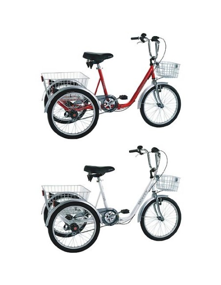 Bicicleta triciclo 607