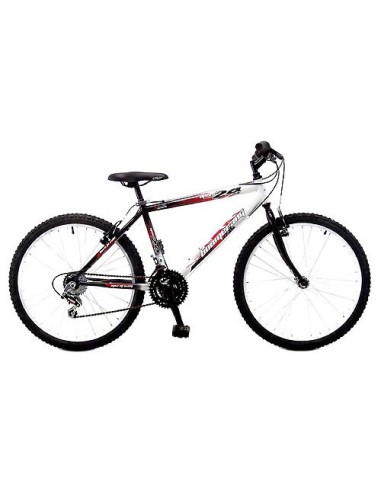 Bicicleta infantil Open 24